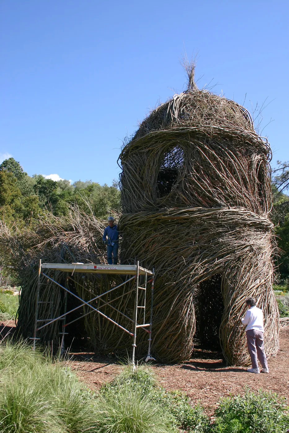 Toad Hall Construction