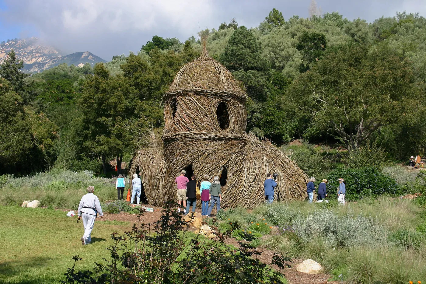 Toad Hall Construction
