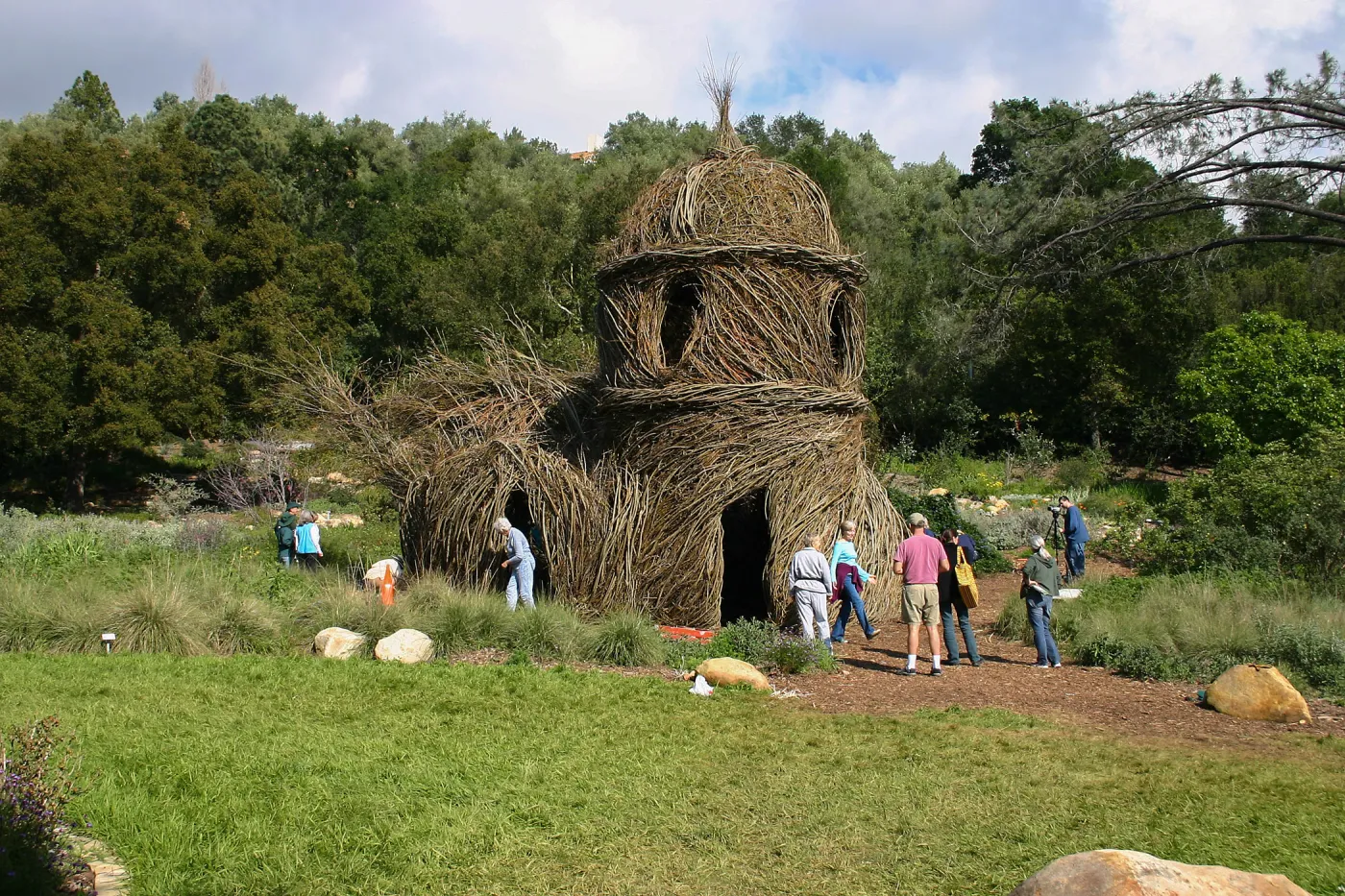 Toad Hall Construction