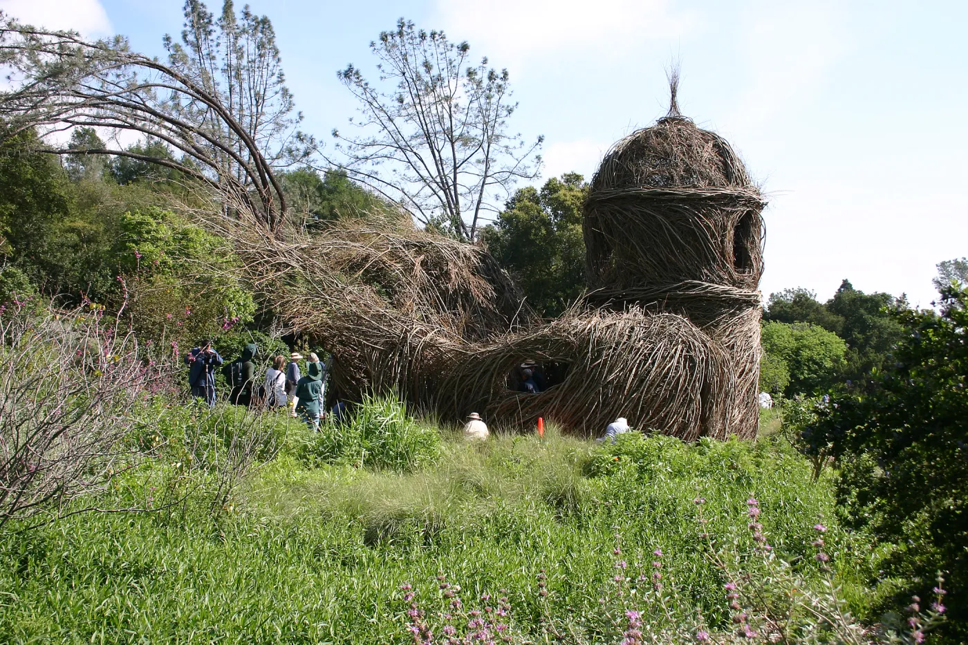 Toad Hall Construction