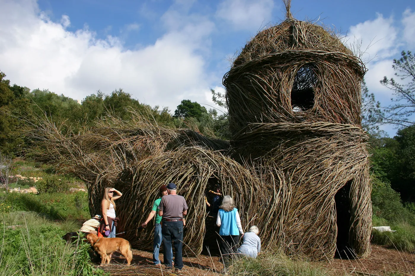 Toad Hall Construction