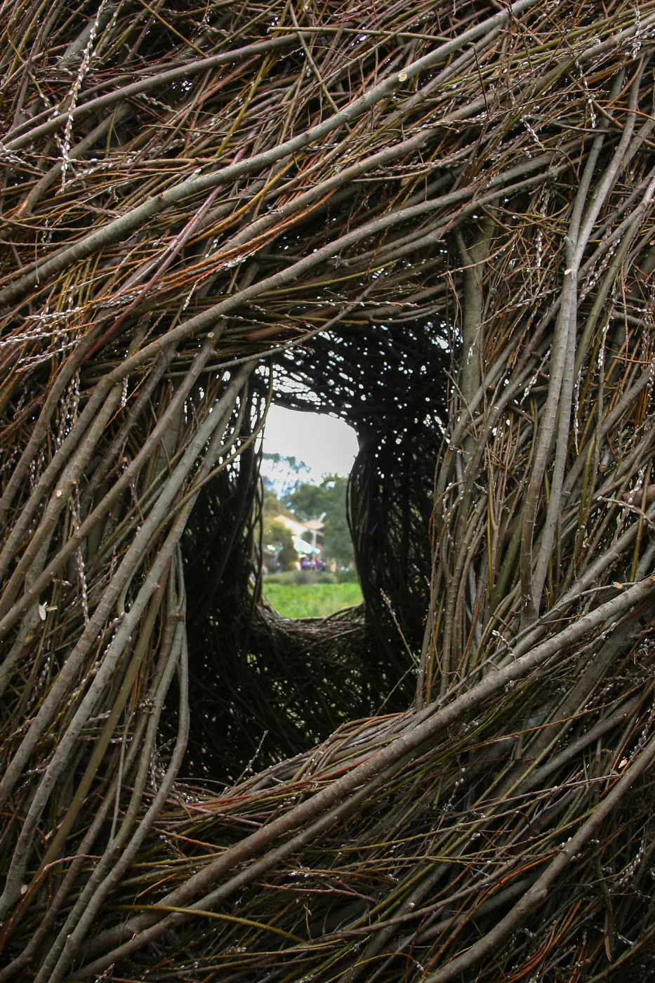 Toad Hall Members' Opening