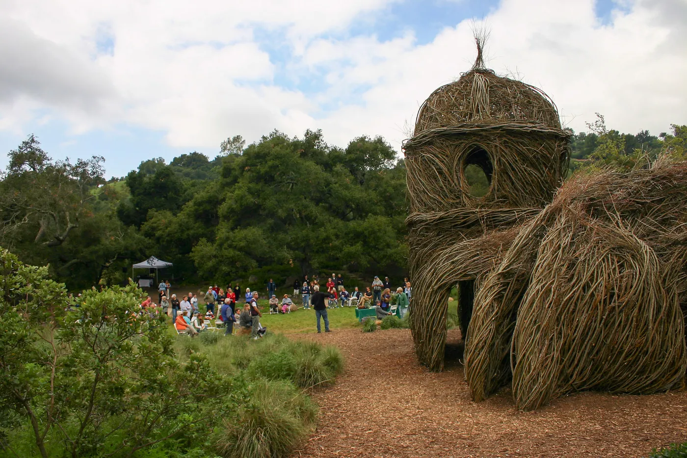 Toad Hall Members' Opening