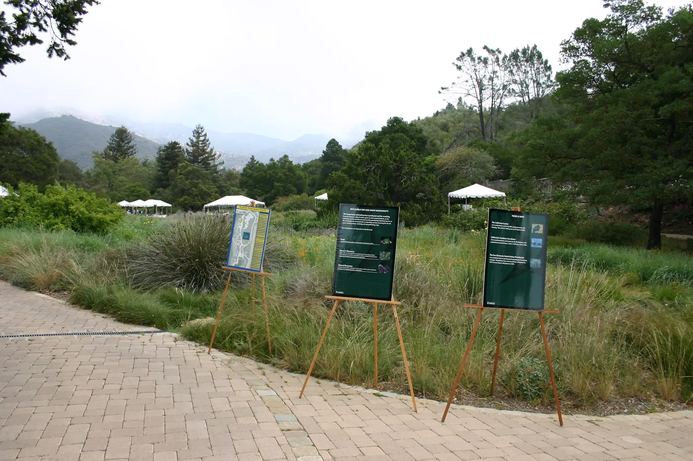 BioBlitz, signage, meadow