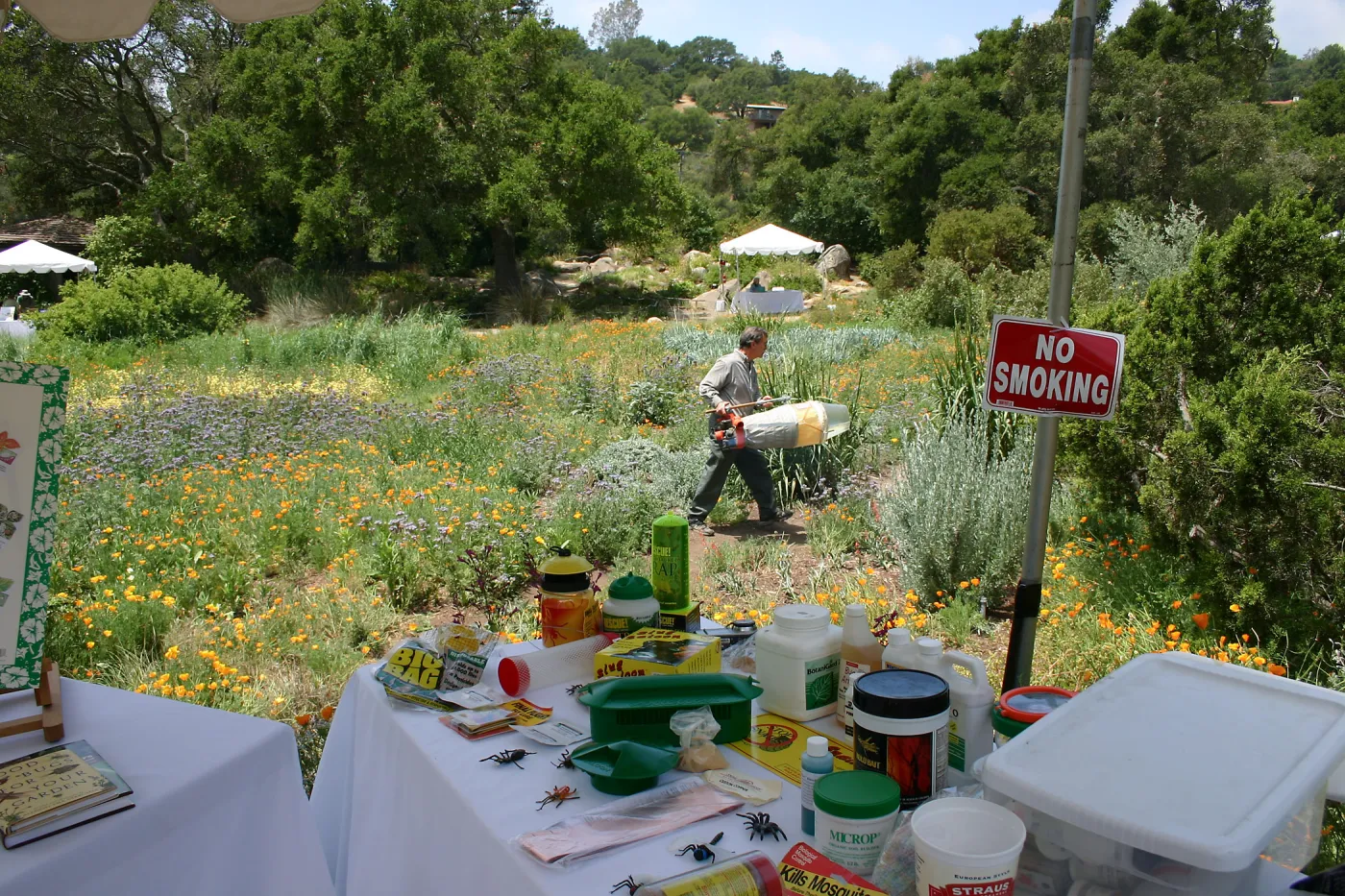 BioBlitz, insect collecting, Meadow