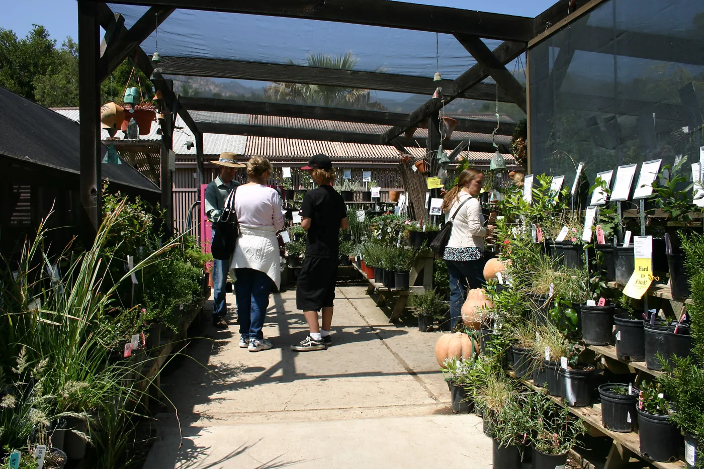 BioBlitz, Visitors at Garden Growers Nursery