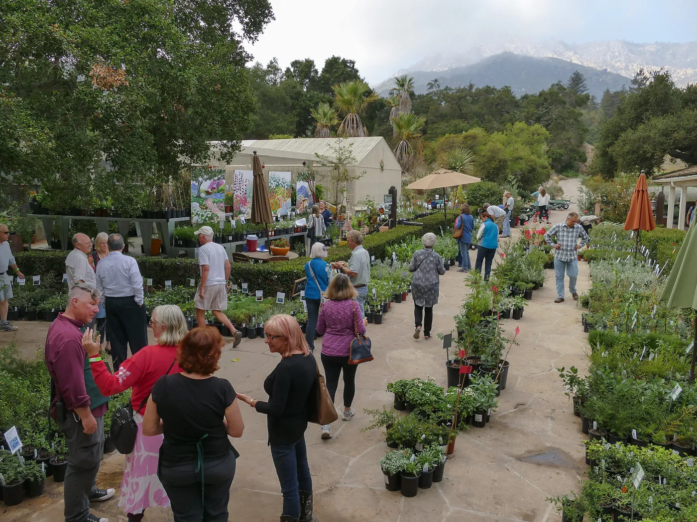 Fall Plant Sale 2018 Preview Party