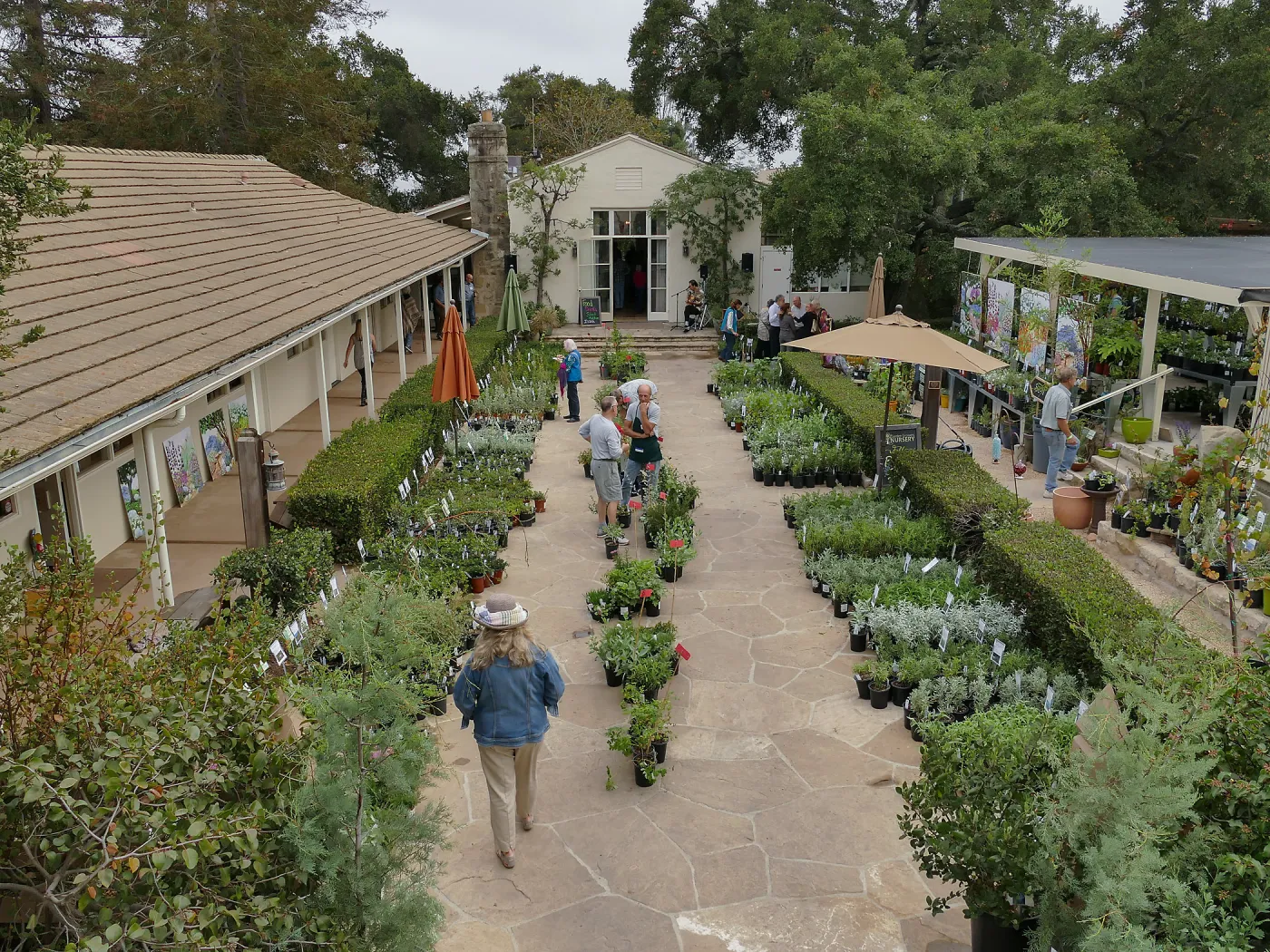 Fall Plant Sale 2018 Preview Party