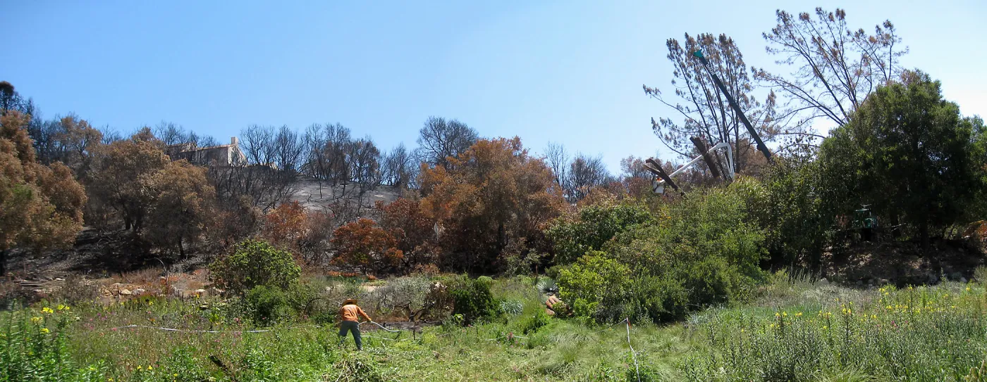 Construction of Herb Parker's â€˜Haven' labyrinth, clearing site in Meadow, removal of leaning grey pine