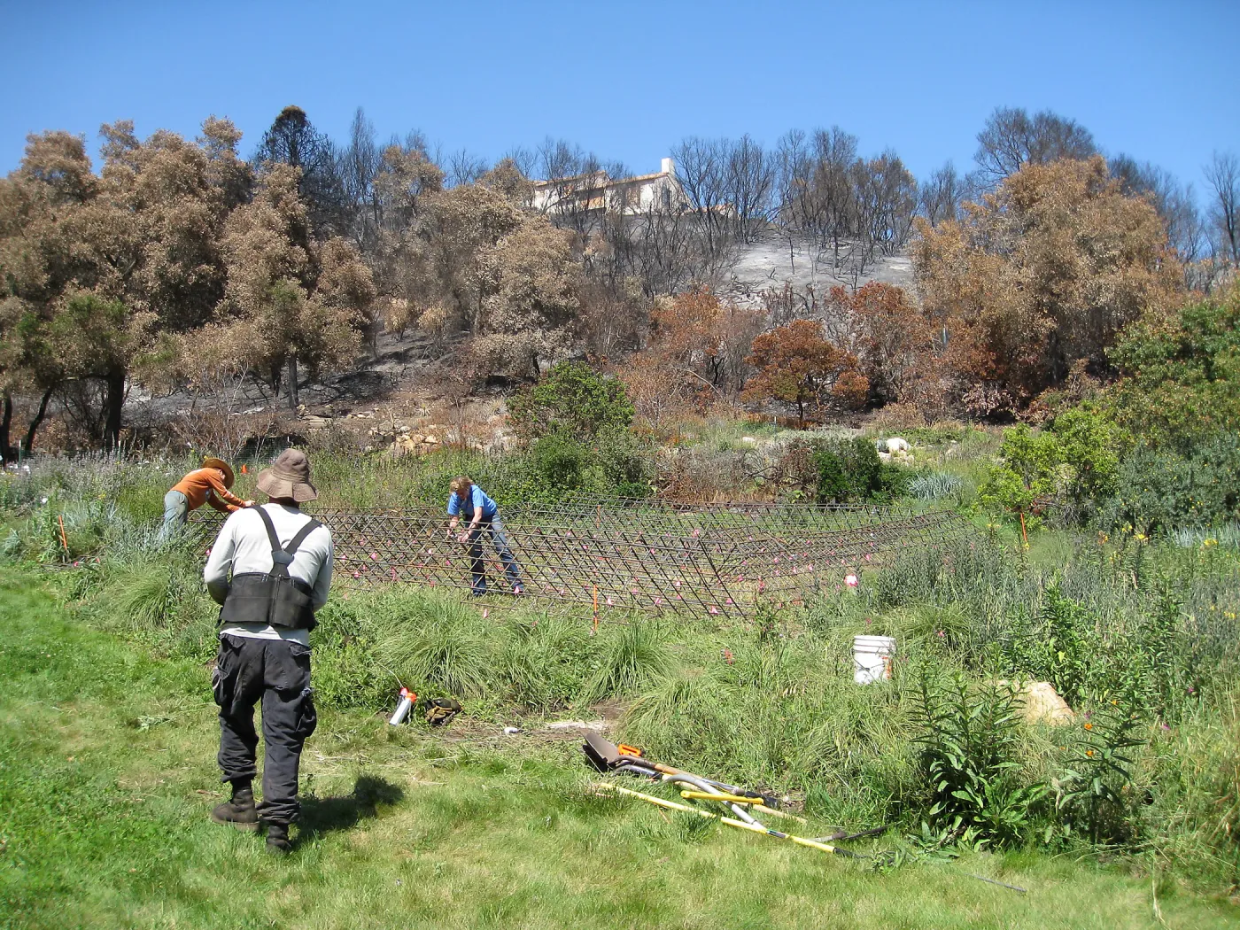 Construction of Herb Parker's â€˜Haven' labyrinth, checking roof framework
