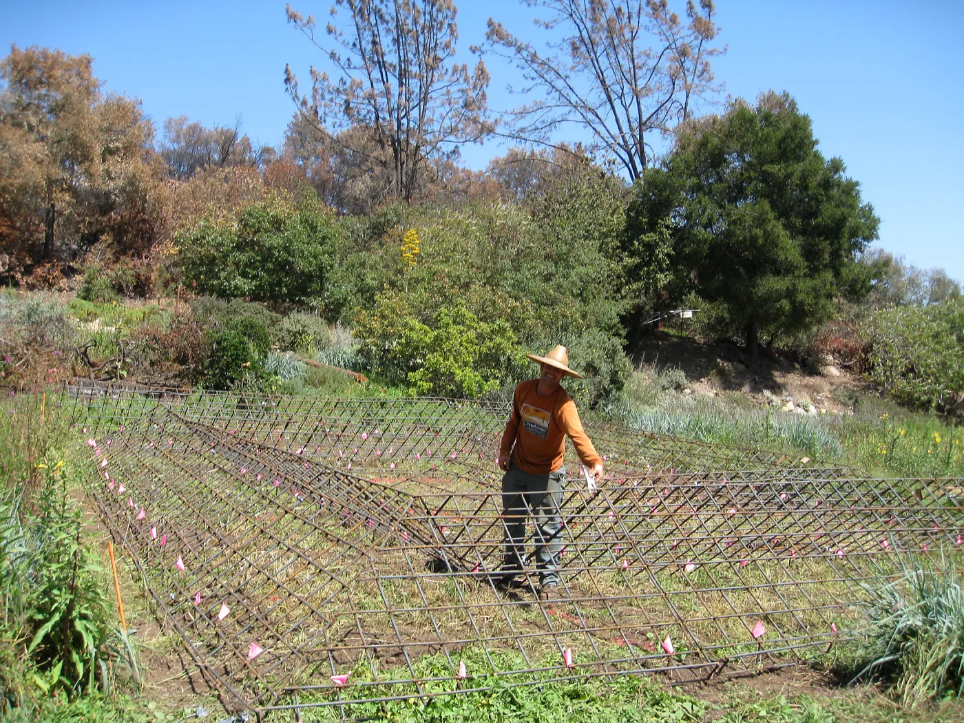 Construction of Herb Parker's â€˜Haven' labyrinth, checking roof framework