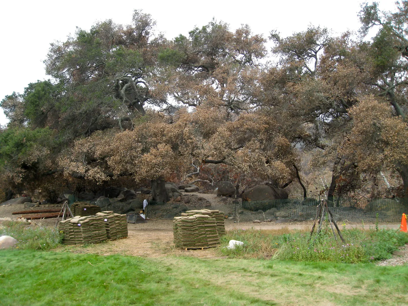 Construction of Herb Parker's â€˜Haven' labyrinth, sod for roof