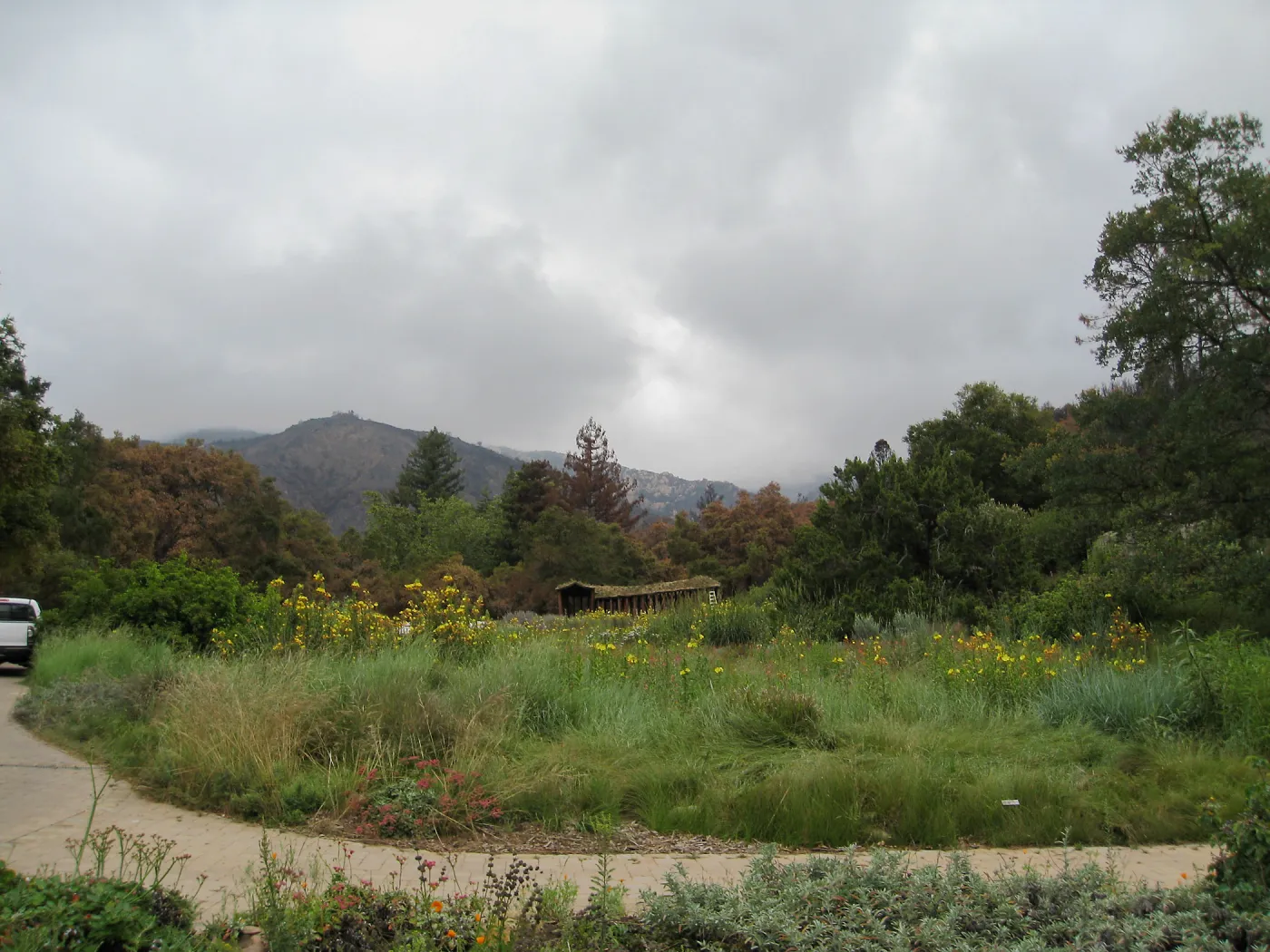 Herb Parker's â€˜Haven' labyrinth