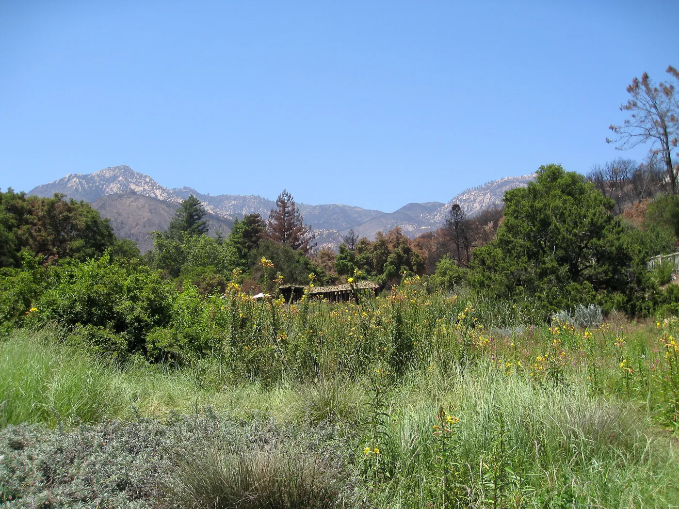Herb Parker's â€˜Haven' labyrinth
