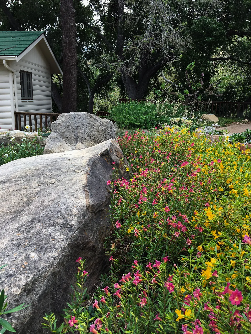 Water Wise Home Garden