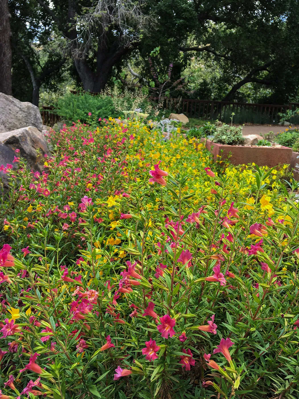 Water Wise Home Garden