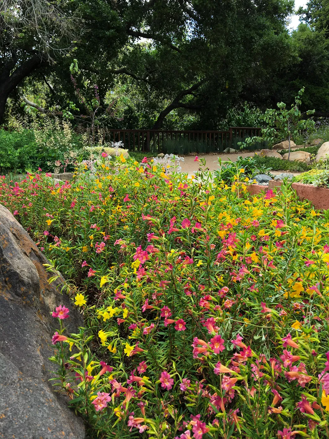 Water Wise Home Garden