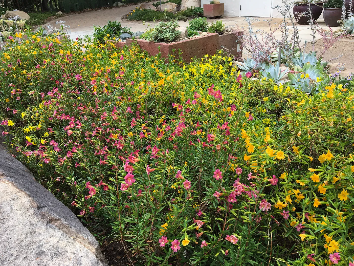 Water Wise Home Garden