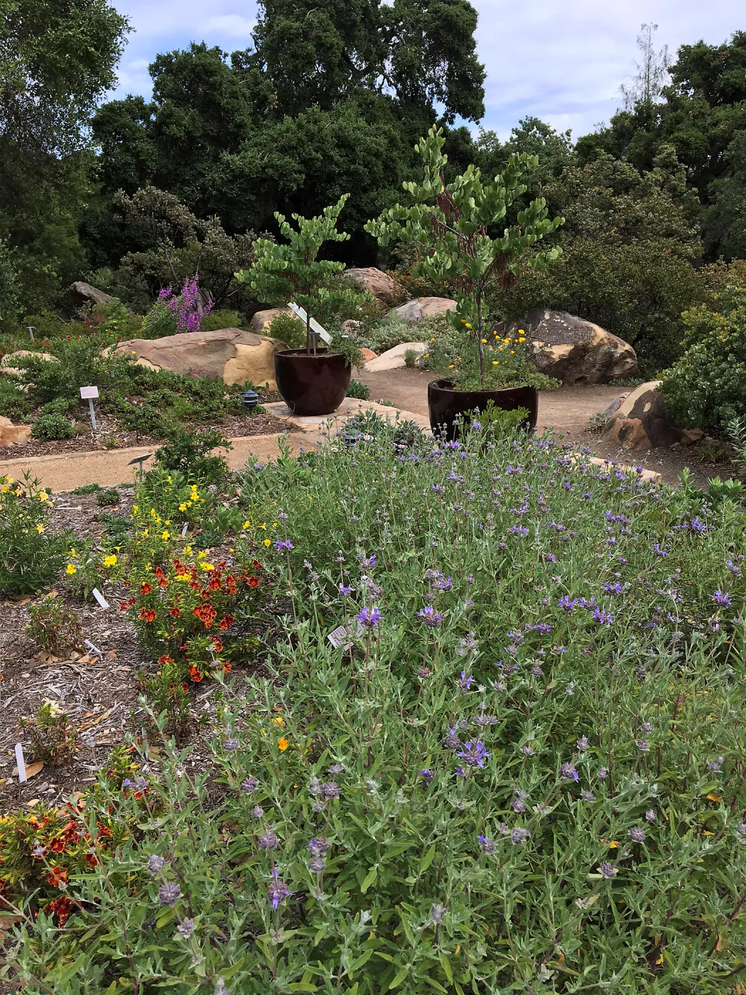 Water Wise Home Garden