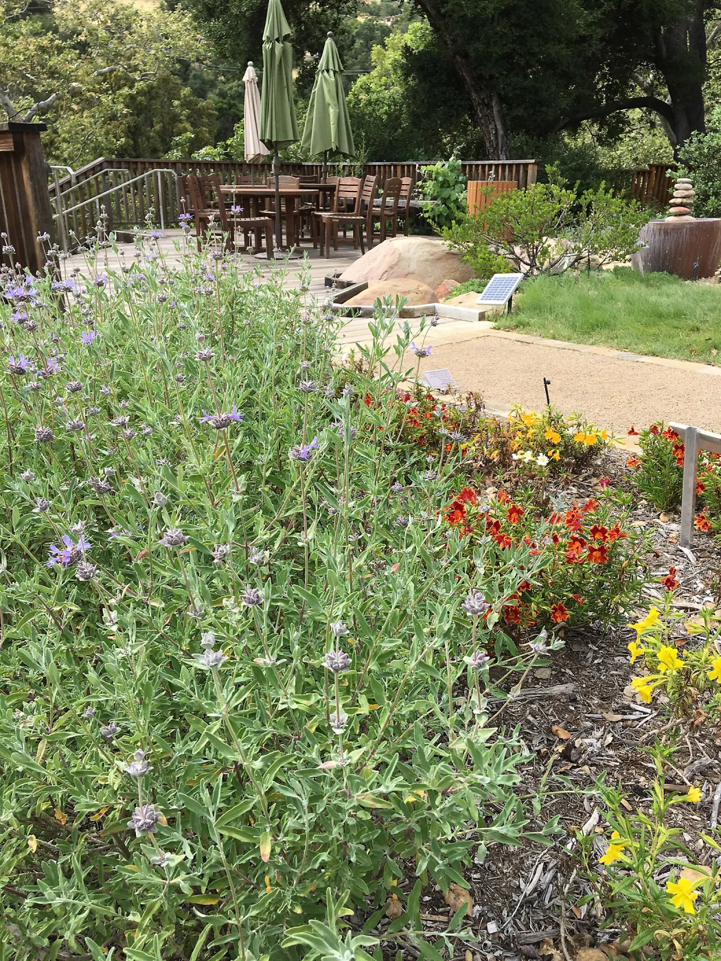 Water Wise Home Garden