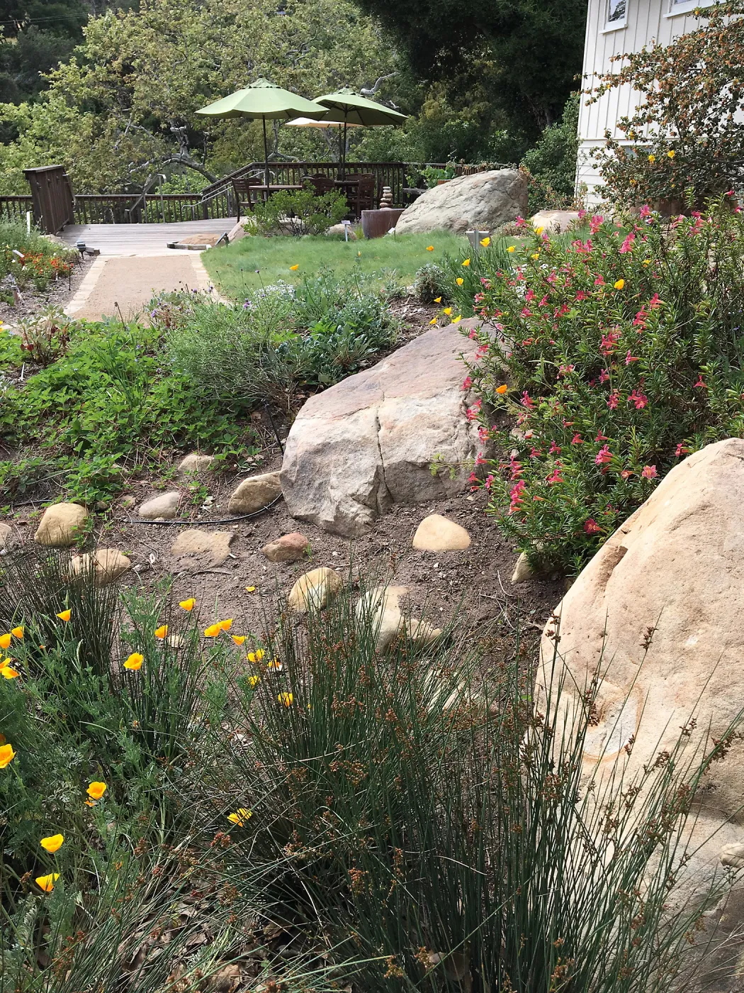 Water Wise Home Garden