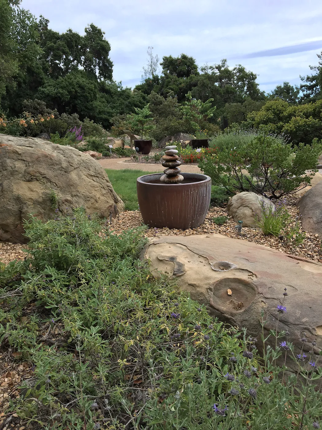Water Wise Home Garden