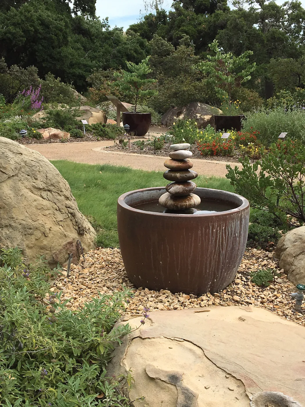 Water Wise Home Garden