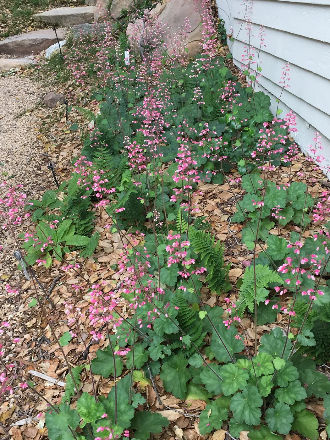 Water Wise Home Garden