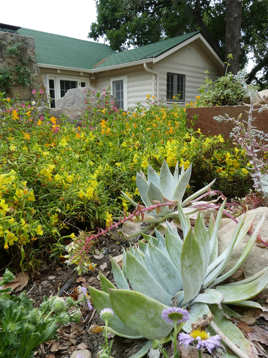 Water Wise Home Garden
