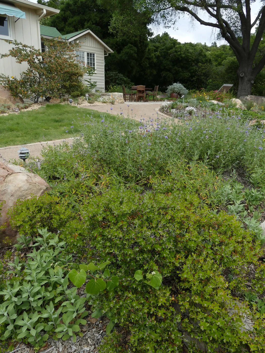 Water Wise Home Garden