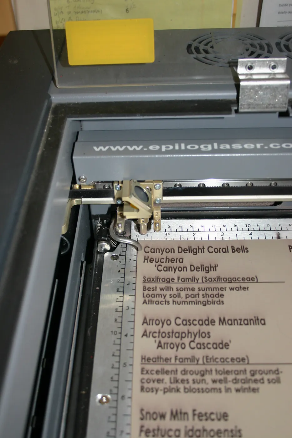 New laser engraver at Horticulture Unit