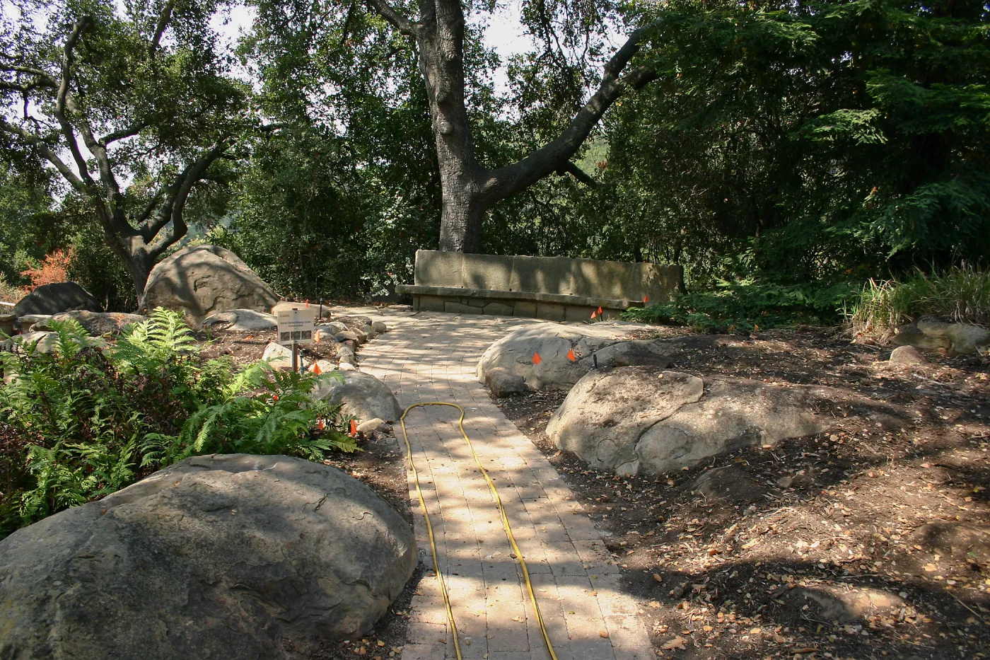 Native California Orchid Display Construction