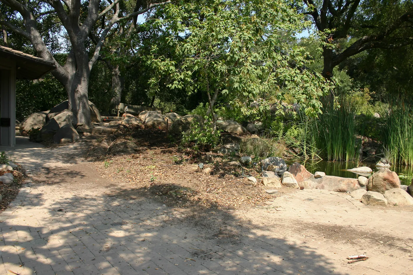 Native California Orchid Display Construction