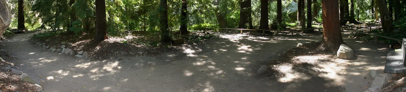 Redwood Section