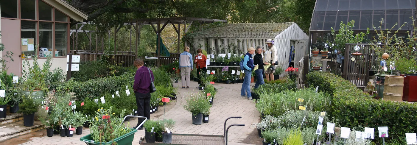 2007 Fall Plant Sale Member Preview Party