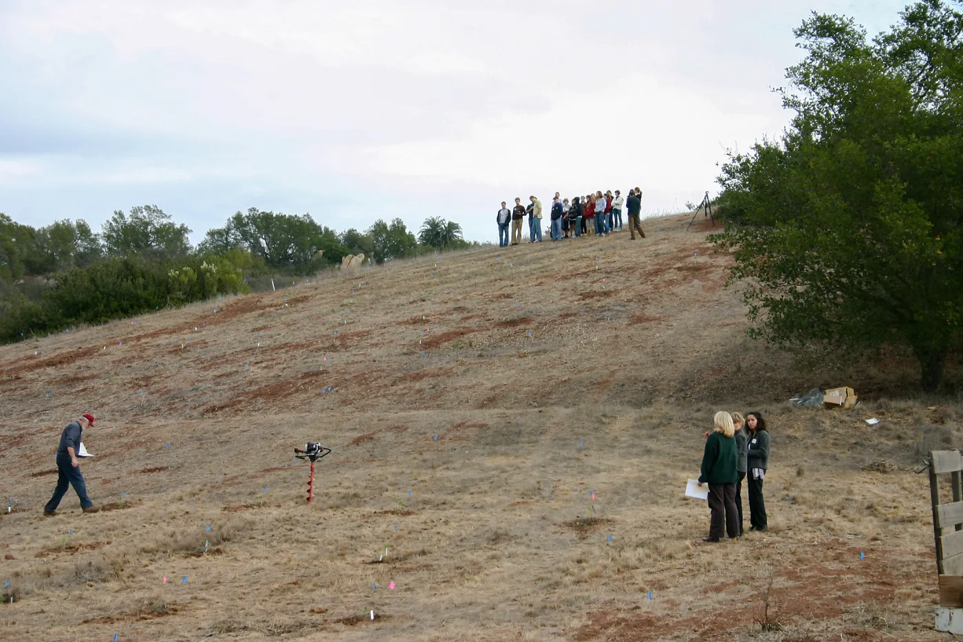 Torrey Pines for Tomorrow Restoration Project Dedication