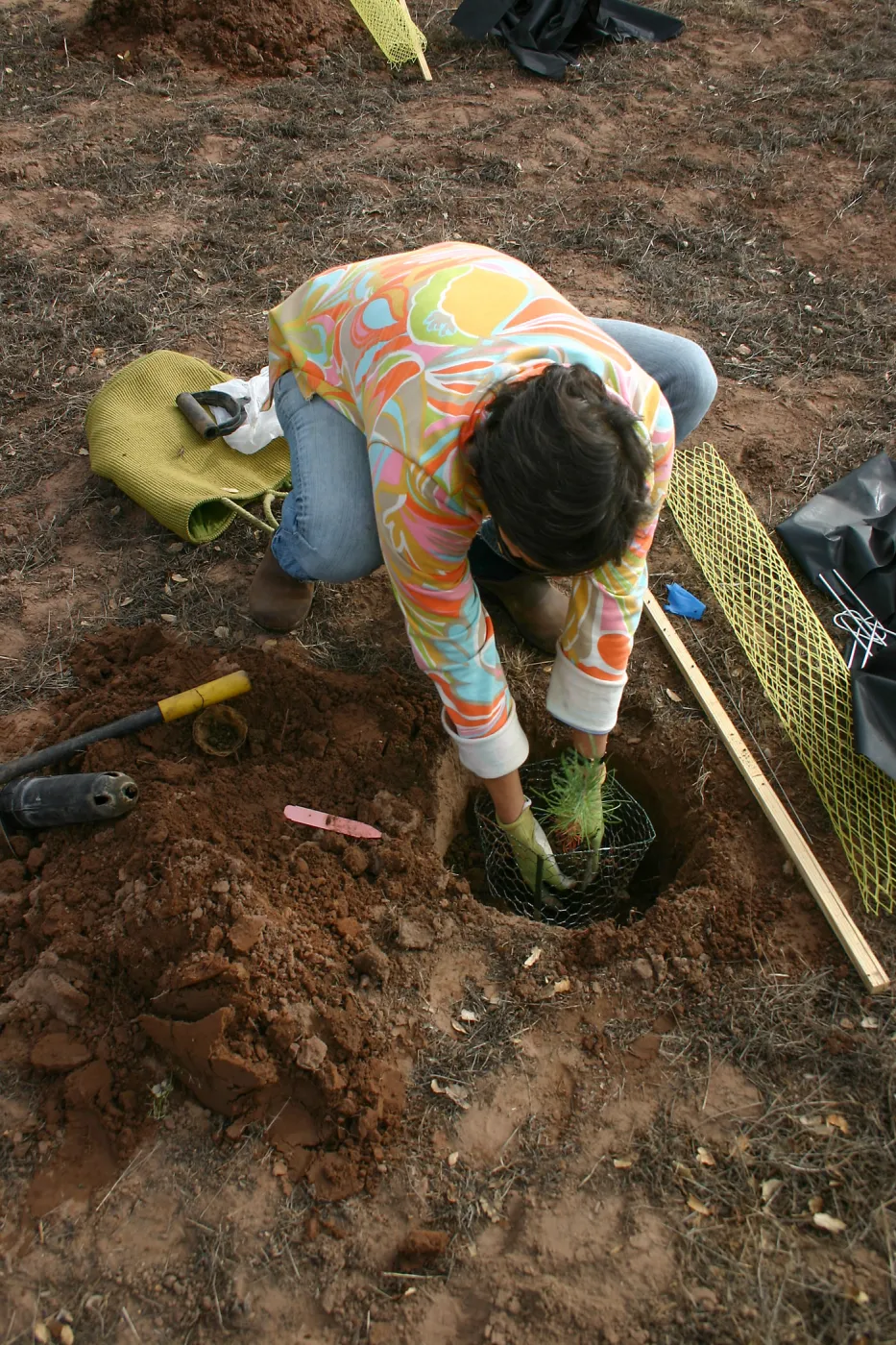 Torrey Pines for Tomorrow Restoration Project Dedication