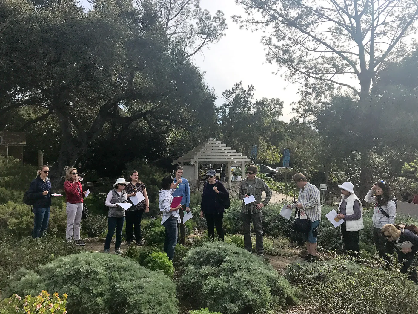 Herbal Medicine Walk: Respiratory System with Emily Sanders