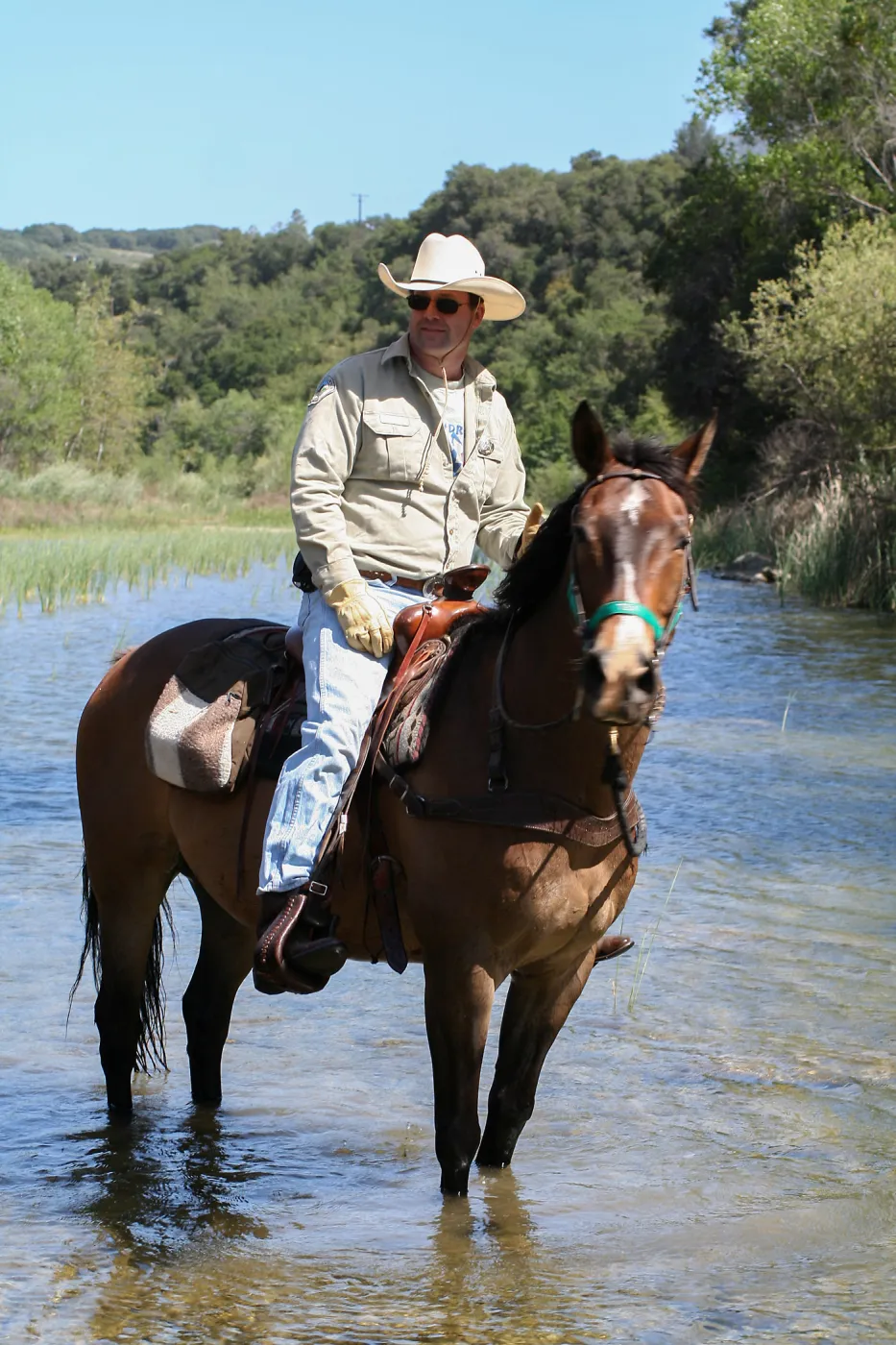 FamCamp 2009, Horses
