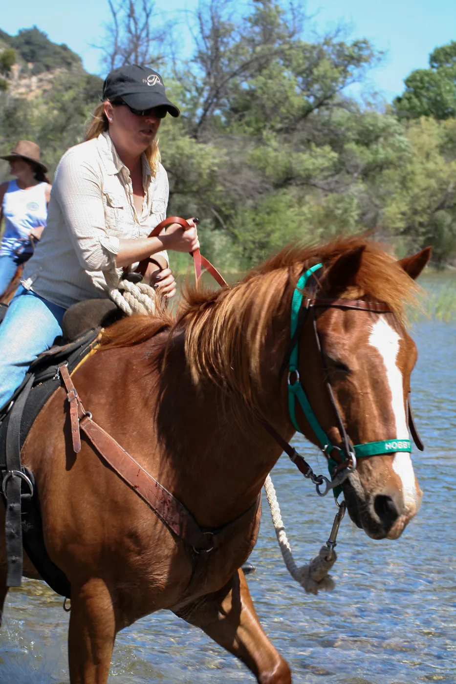 FamCamp 2009, Horses