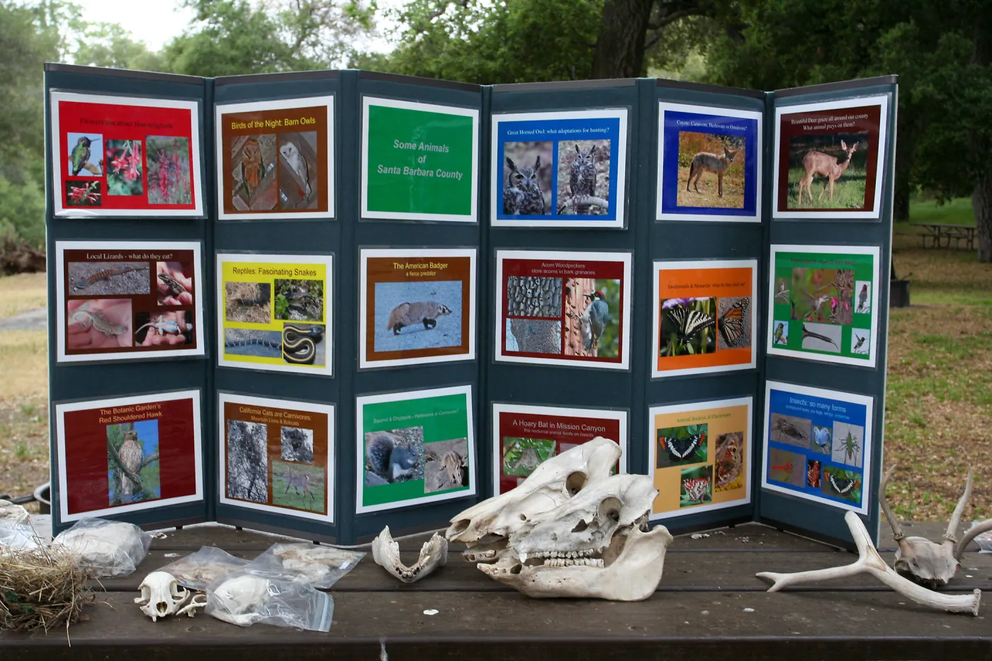 FamCamp 2009, animal display