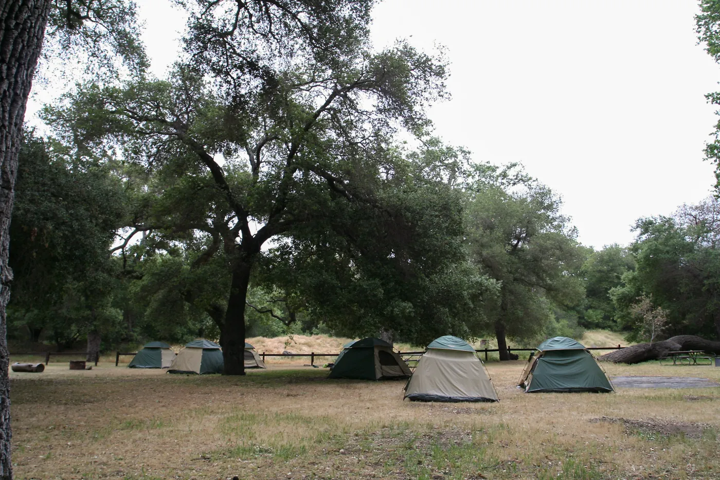 FamCamp 2009