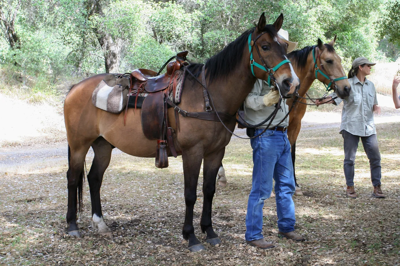 FamCamp 2009, Horses
