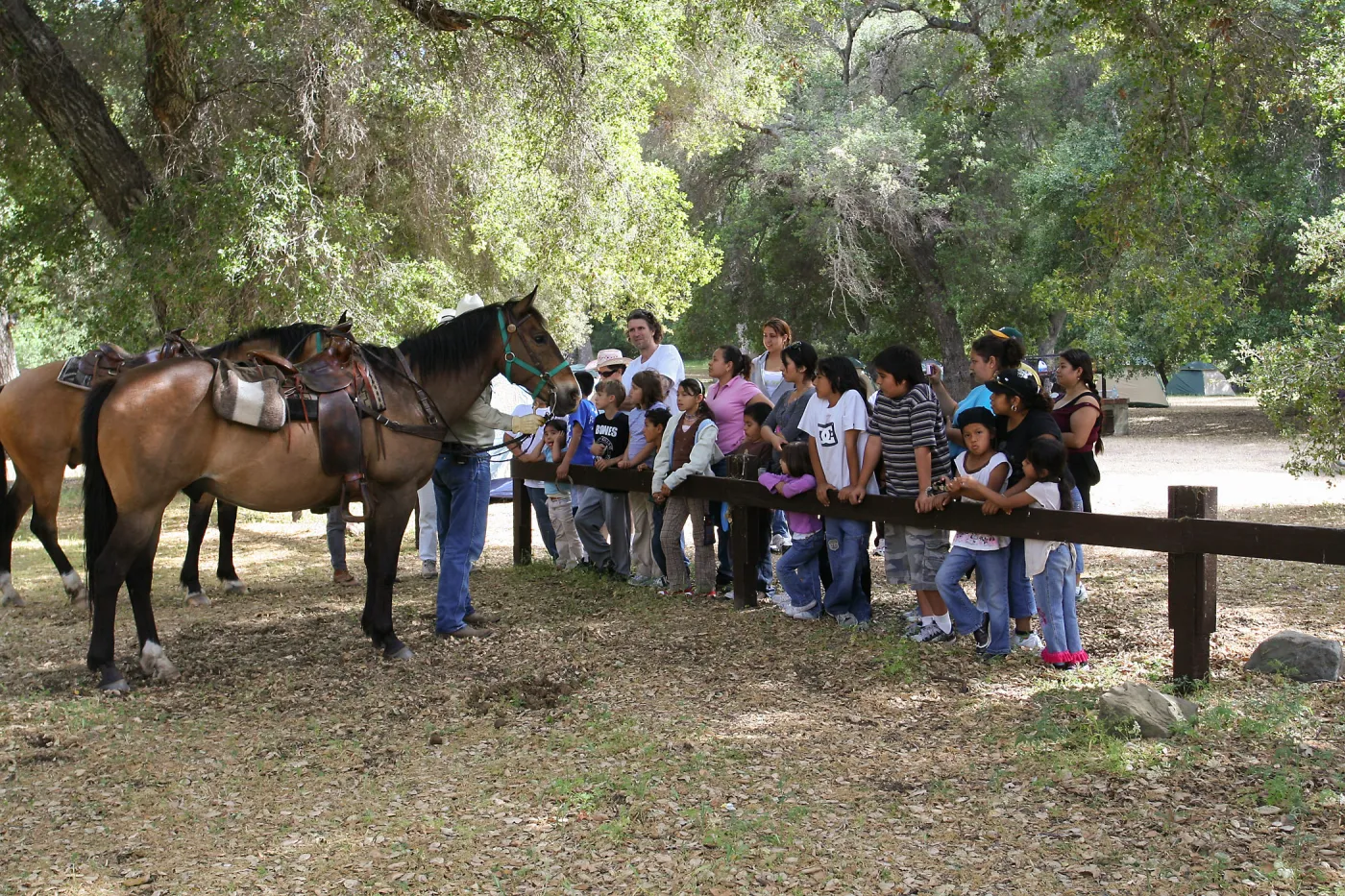 FamCamp 2009, Horses