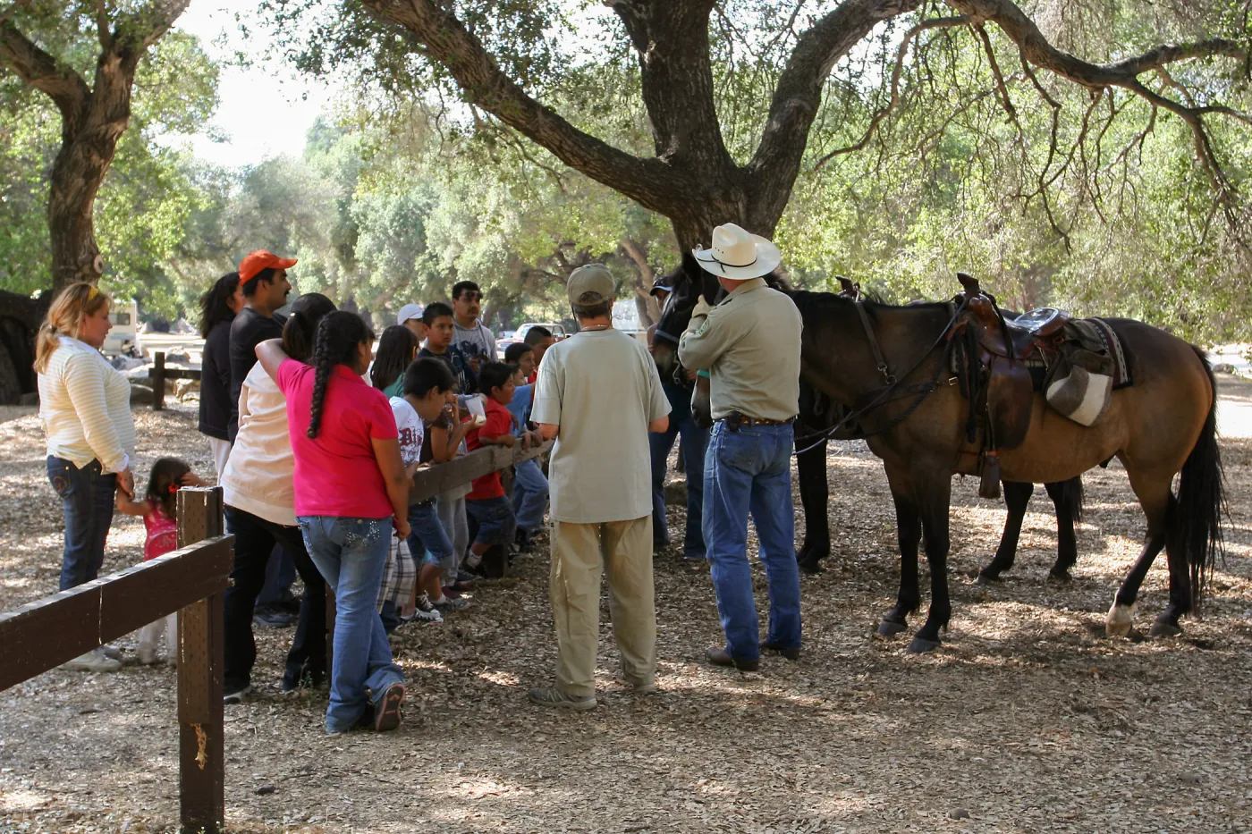 FamCamp 2009, Horses