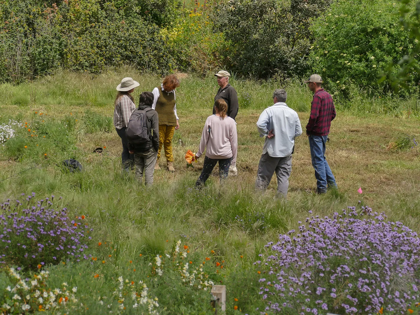 Horticulture staff in Meadow