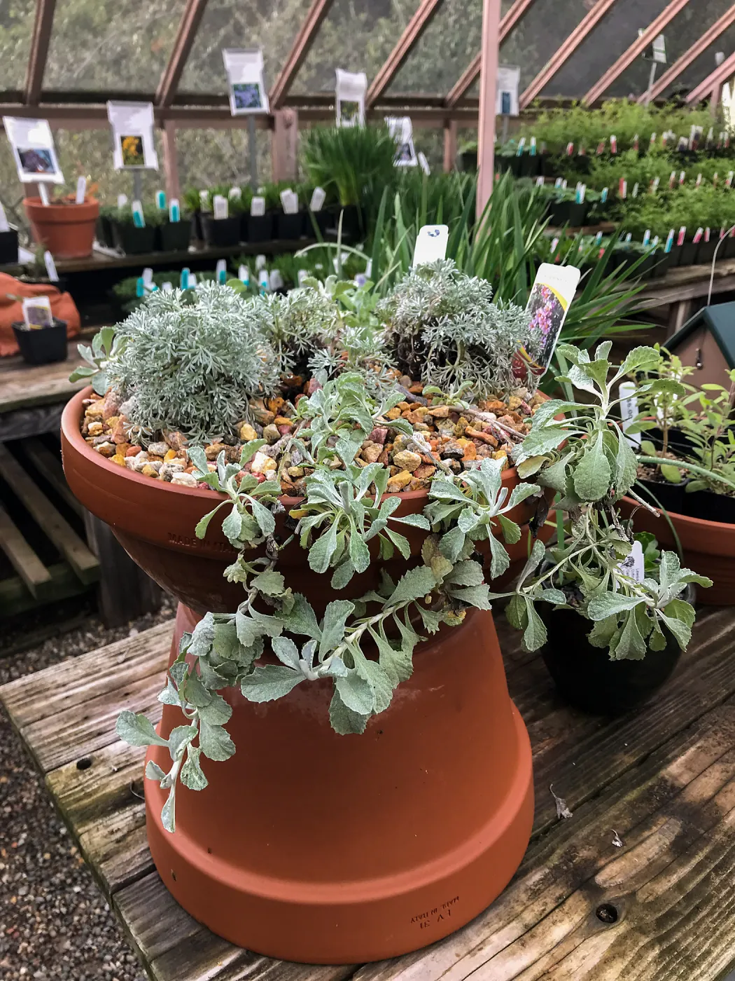 Container Garden