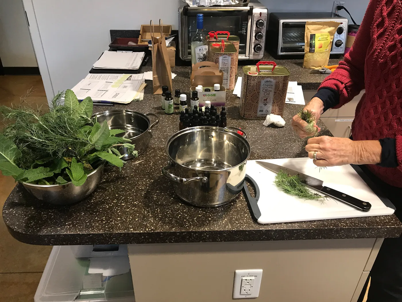 Emily Sanders Winter Wellness Medicine Making Workshop