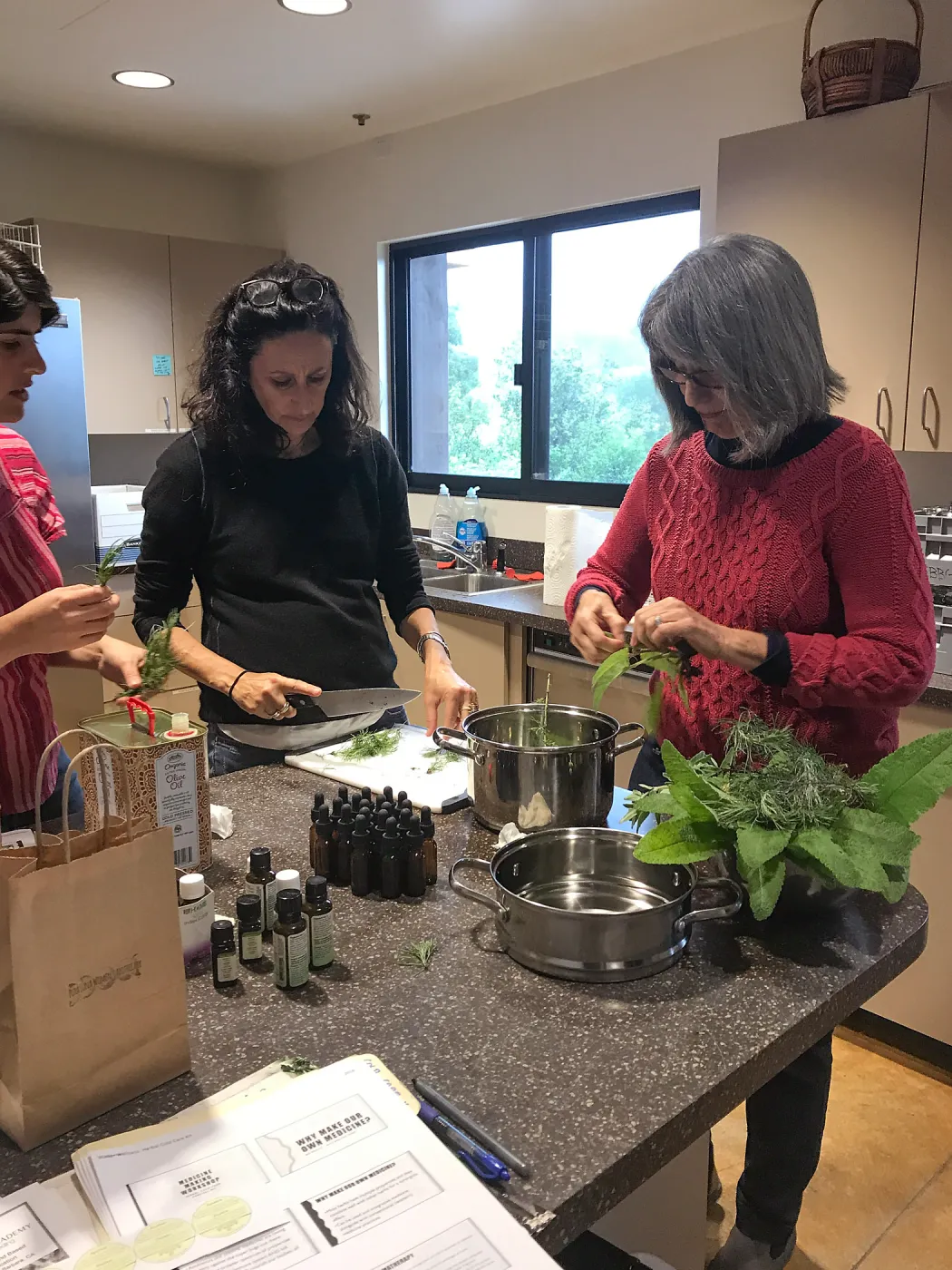 Emily Sanders Winter Wellness Medicine Making Workshop