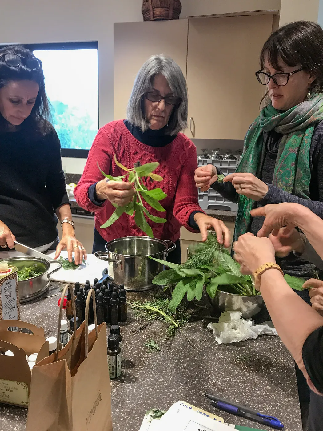 Emily Sanders Winter Wellness Medicine Making Workshop